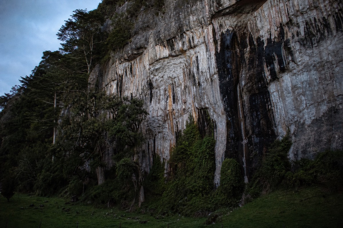 A limestone bluff above green New Zealand farmland in late afternoon light with ancient trees along its base